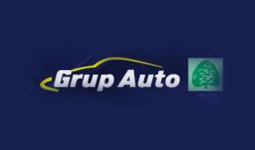 Grupauto GPQ50G135L - ANTICONGELANTE VolksWagen ROSA G13 5 Litros